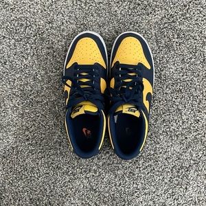 COPY - Michigan Dunks